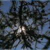 20050817_042